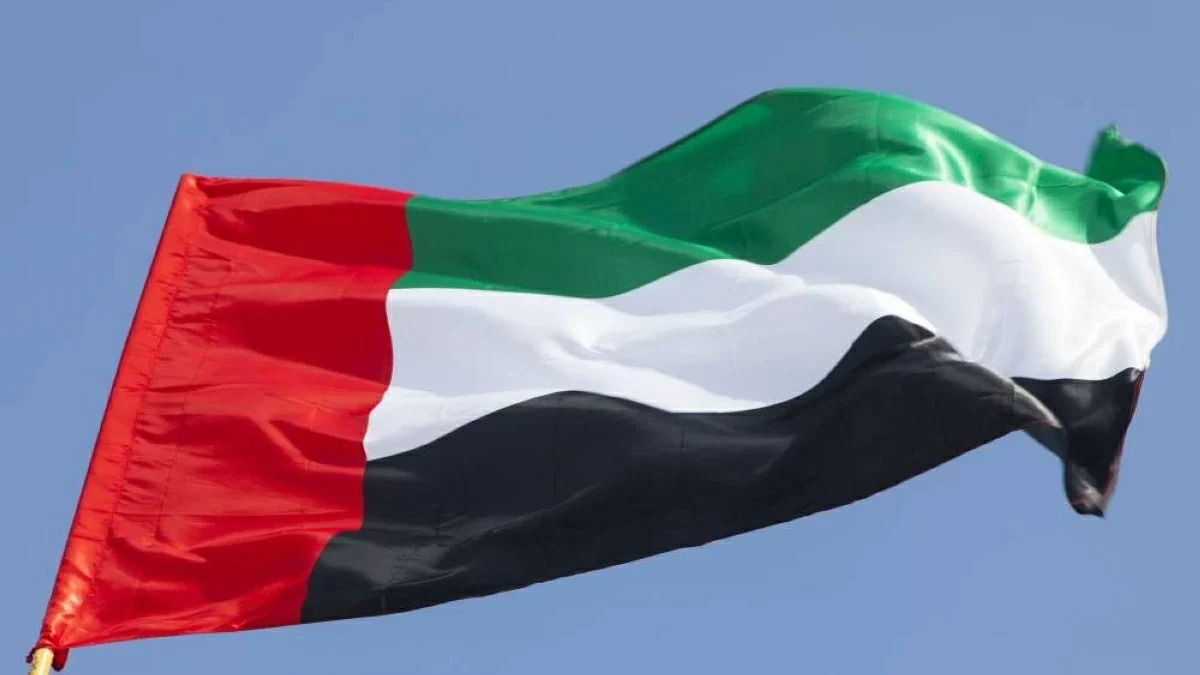 الإمارات في "بريكس".. شراكات تتوسع ودور متنام في التجارة والاستثمار العالمي